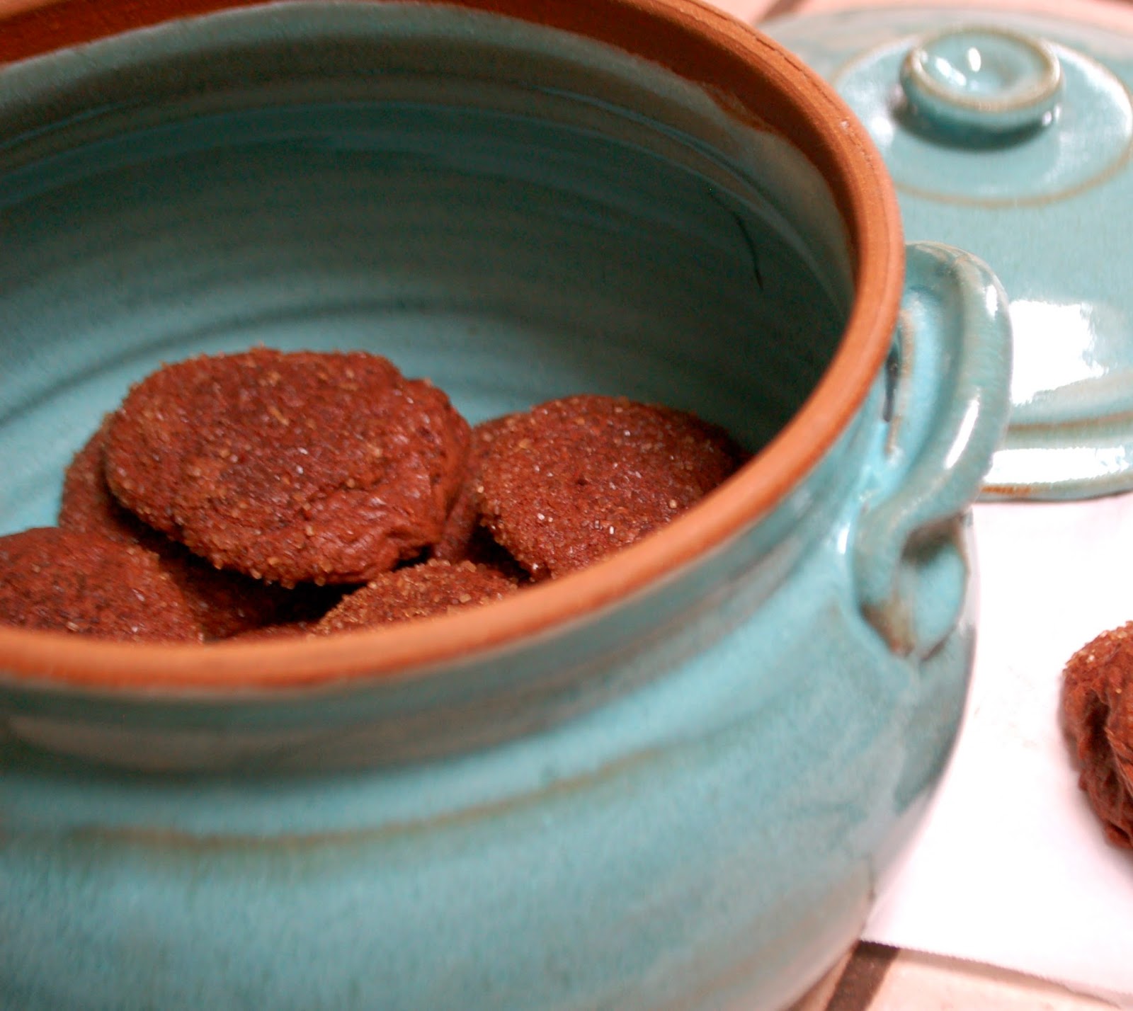 The Spice Garden We Should Cocoa Spicy Chili Chocolate Cookies