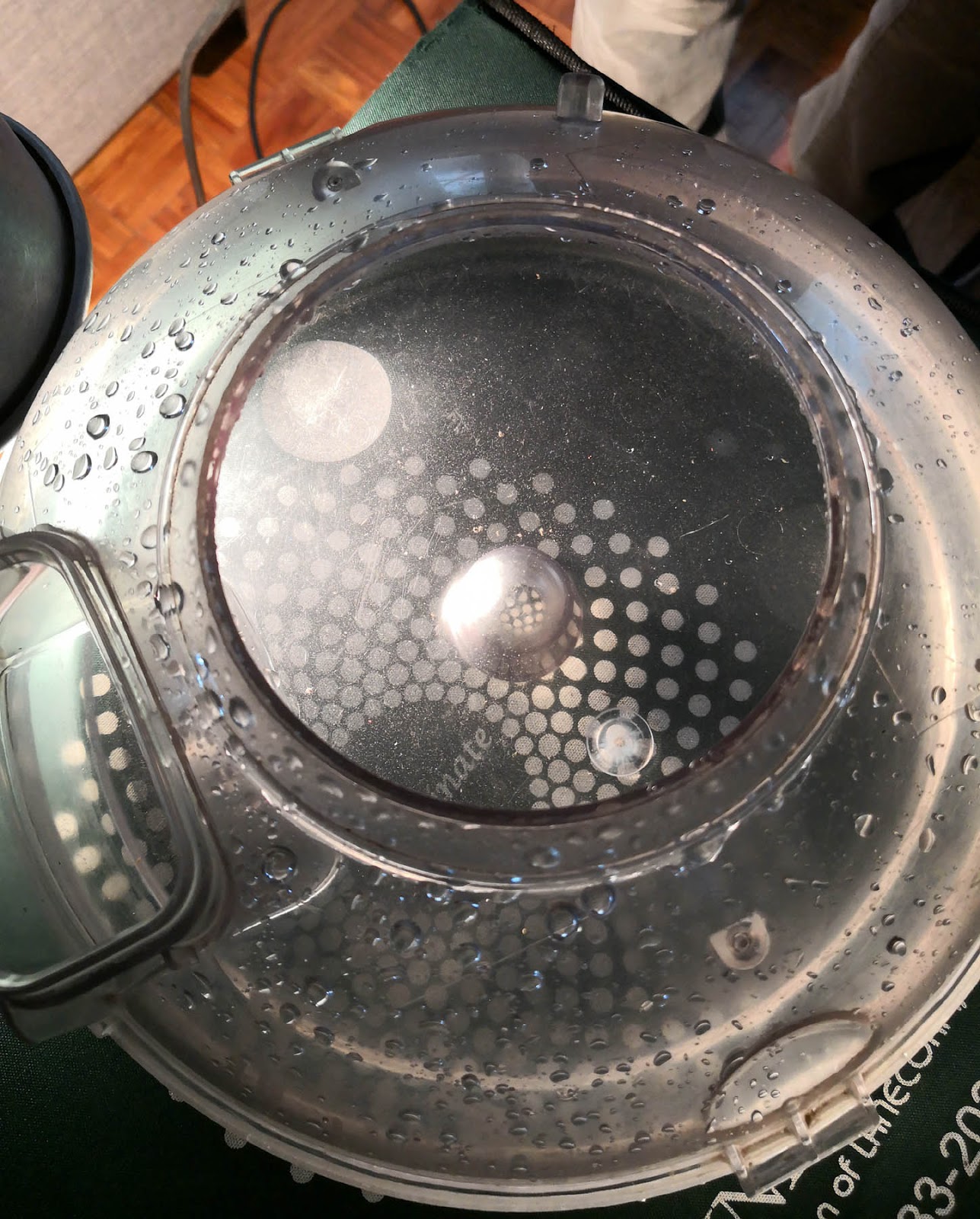 MrsMommyHolic Our Rainbow Vacuum Demo experience (to buy or not to buy?)