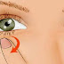 ¿Has sentido que el Ojo te salta? Esto no es bueno, mira porque!