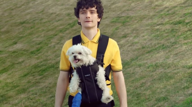 Canzone Pubblicità Amazon Prime (spot con Cane) | Nome attore