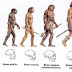 Homo erectus já andava como seres humanos há 1,5 milhão de anos