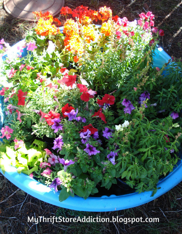 Prepare your garden for your vacation by gathering container plants in a kiddie pool and adding water: mythriftstoreaddiction.blogspot.com Kiddie pool as vacation watering alternative