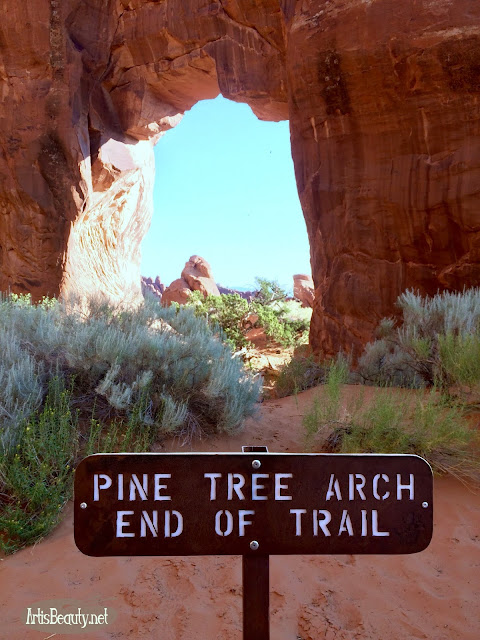 pine tree arch trail arches national park moab utah hiking tips for familys during summer 