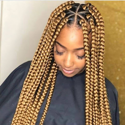 37 Unique Triangle Box Braids Hairstyles 2019 Funky For Black Women Triangle box braids hairstyles have been a stylish and trendy protective hairstyle for bl 37 Unique Triangle Box Braids Hairstyles 2019 Funky For Black Women