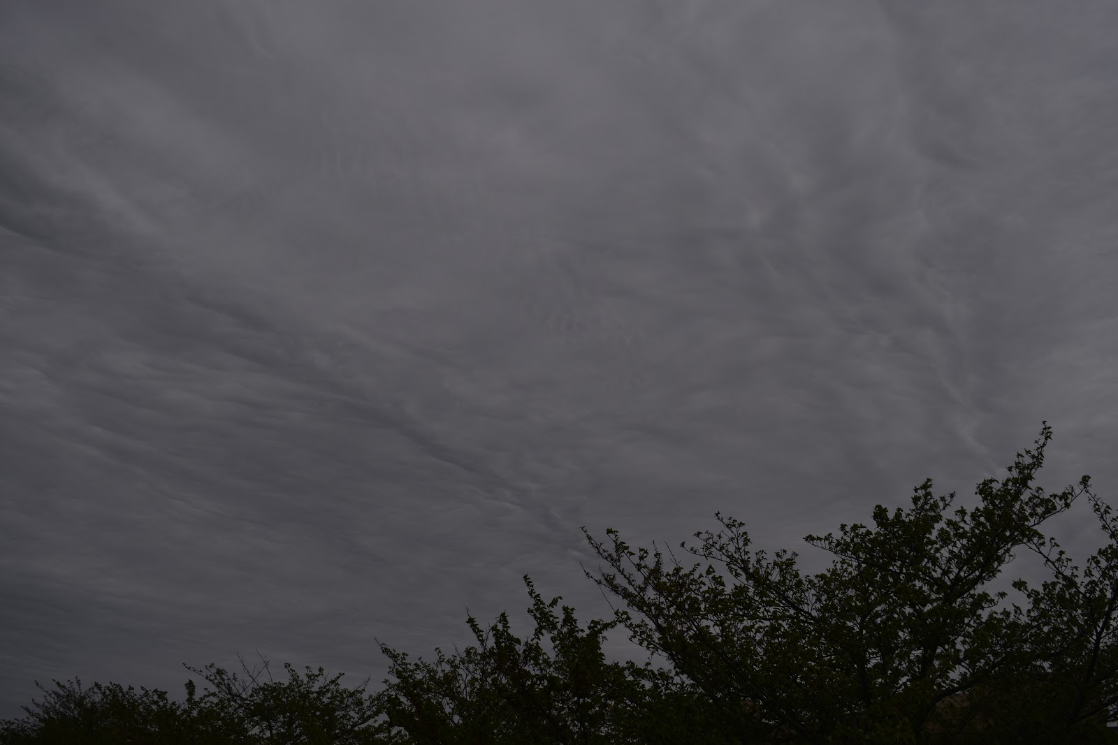 科学する空 ブログ版 不気味な高層雲底