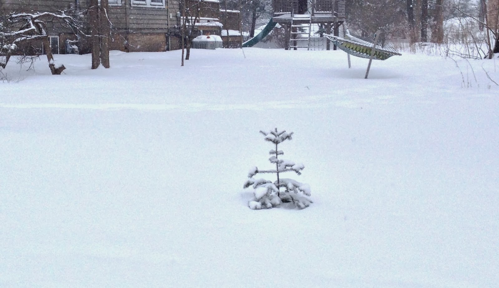 Every goddamn day: 02/02/23: Ten inches of snow predicted