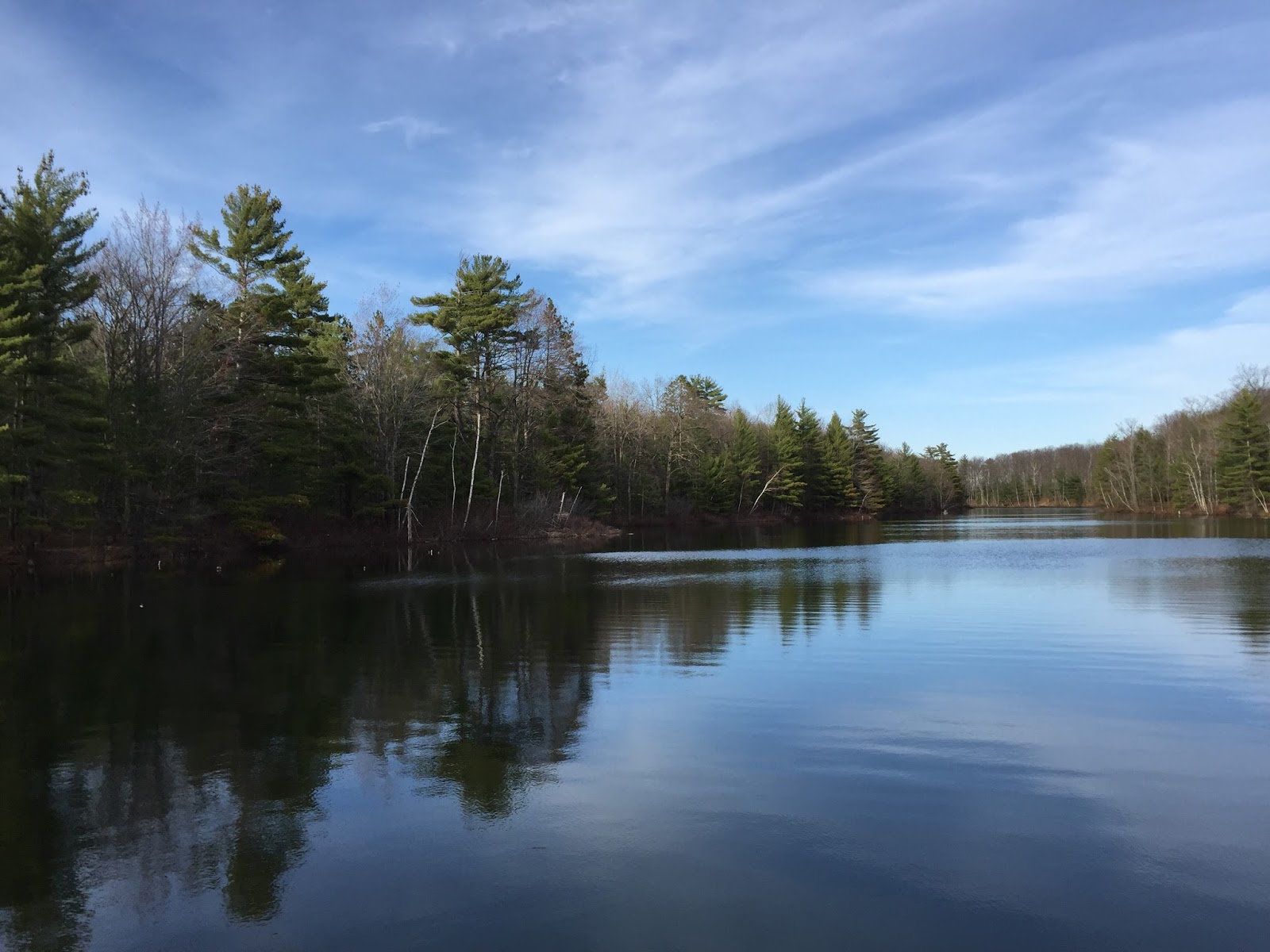 Garbage Bag Suitcase Have You Asked?