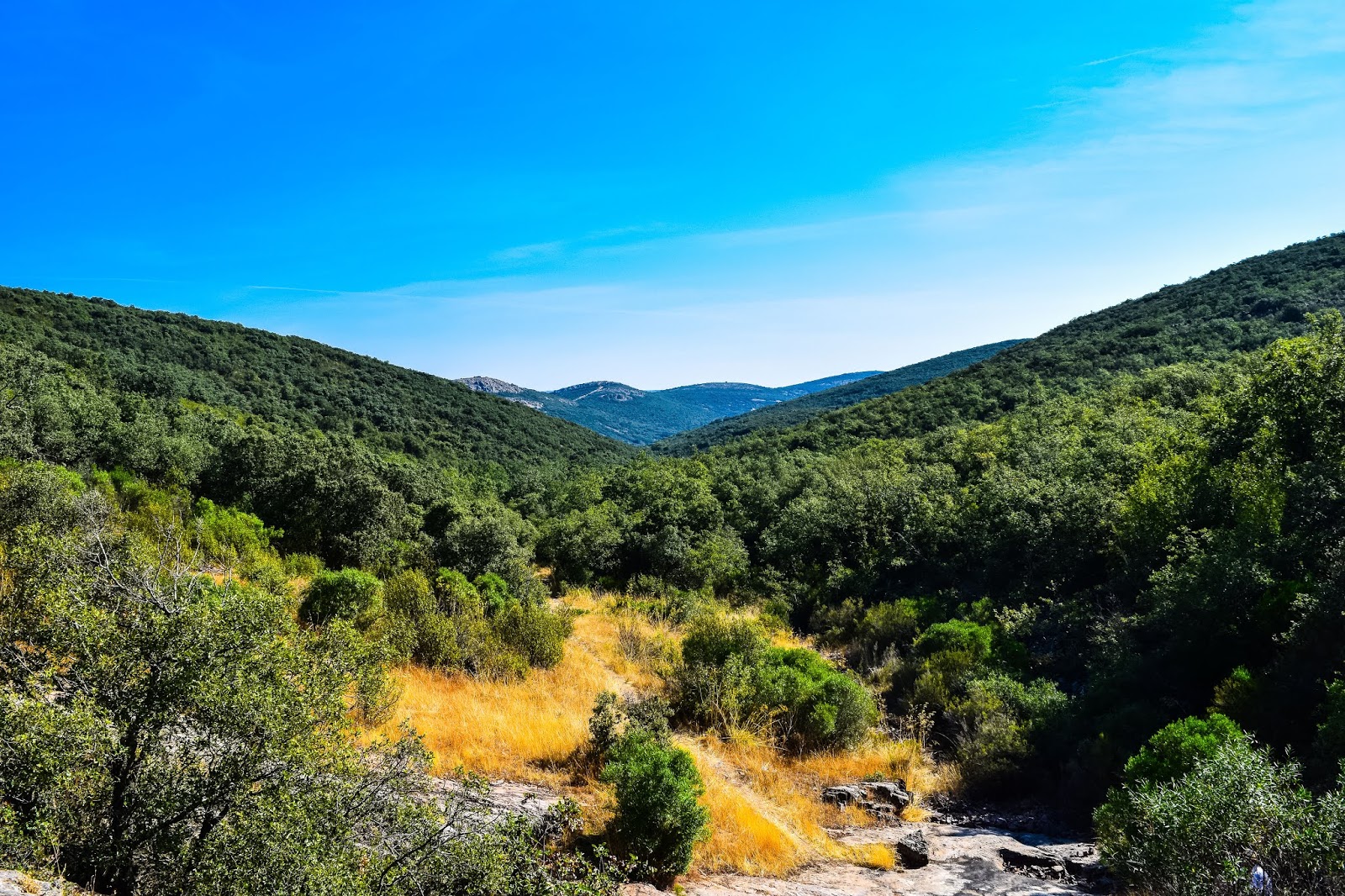 EL BLOG DE ÁNGEL J. ROJAS