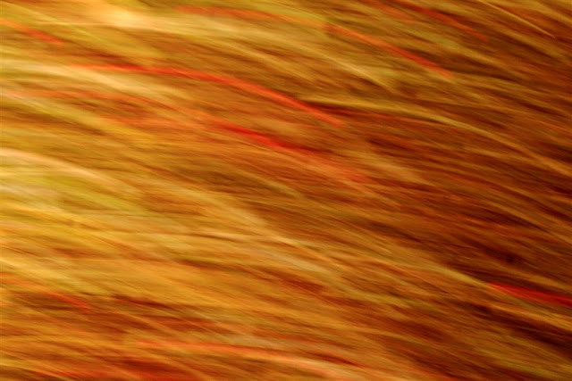 motion photography with very bright orange and red colours