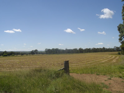 eight acres: making hay