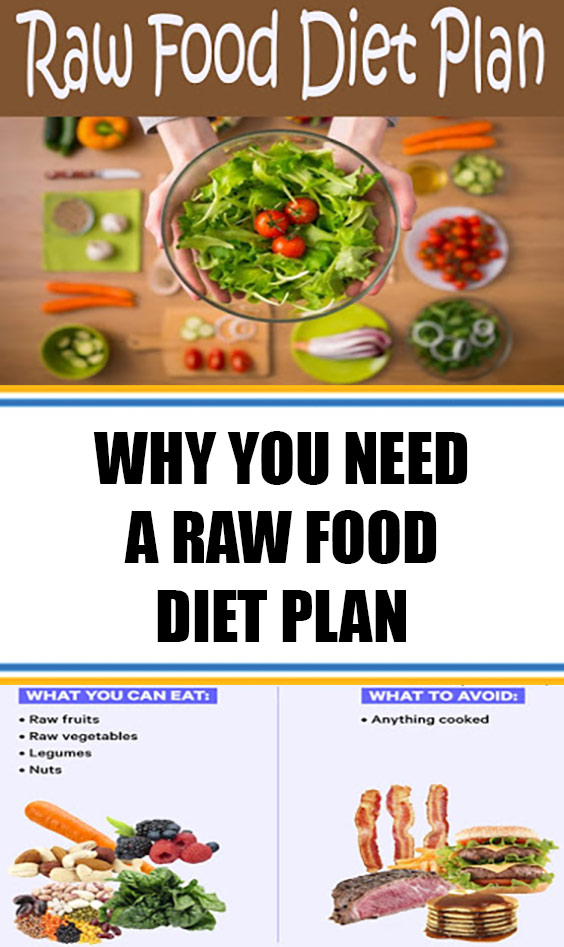 Why You Need A Raw Food Diet Plan - Id-newstimes