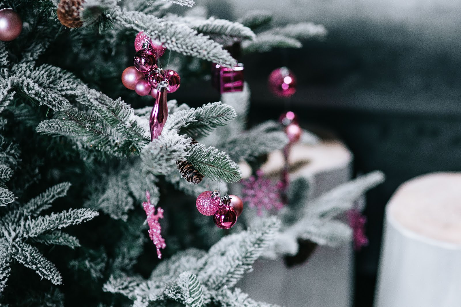 50 choses à faire à Noël