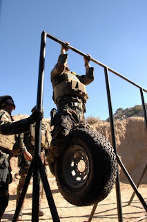 seals_09.jpg