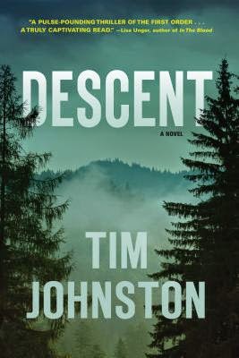 Descent by Tim Johnston