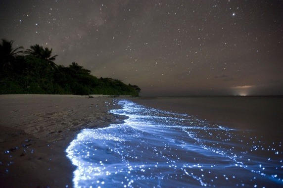 Vaadooh Island, The Sea of Stars in Maldives
