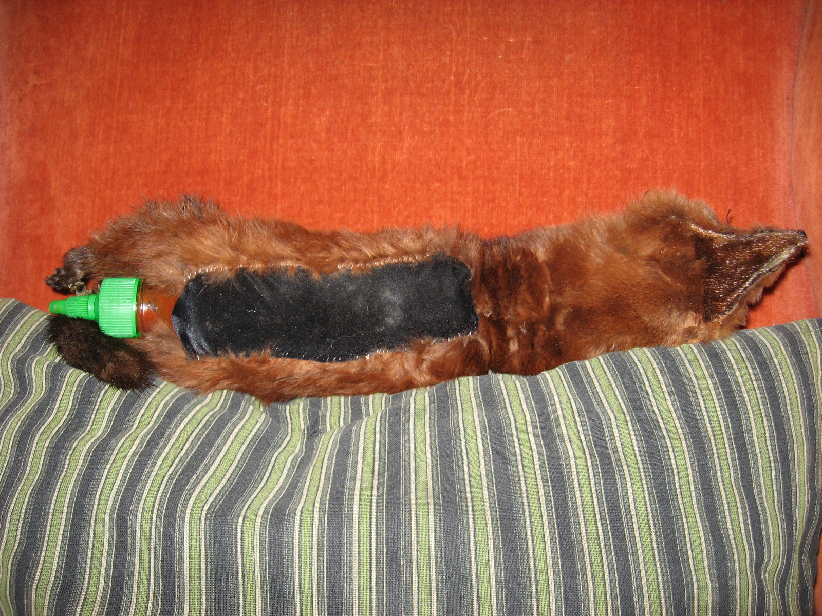 Colin Spice Weasel......BAM!!!