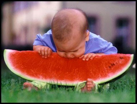 Bilgi Piri: Karpuz ve Faydaları