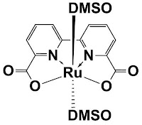 DMSO und MSM - Das biochemische Sauerstofftransportpaar