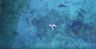 wisata-karimunjawa