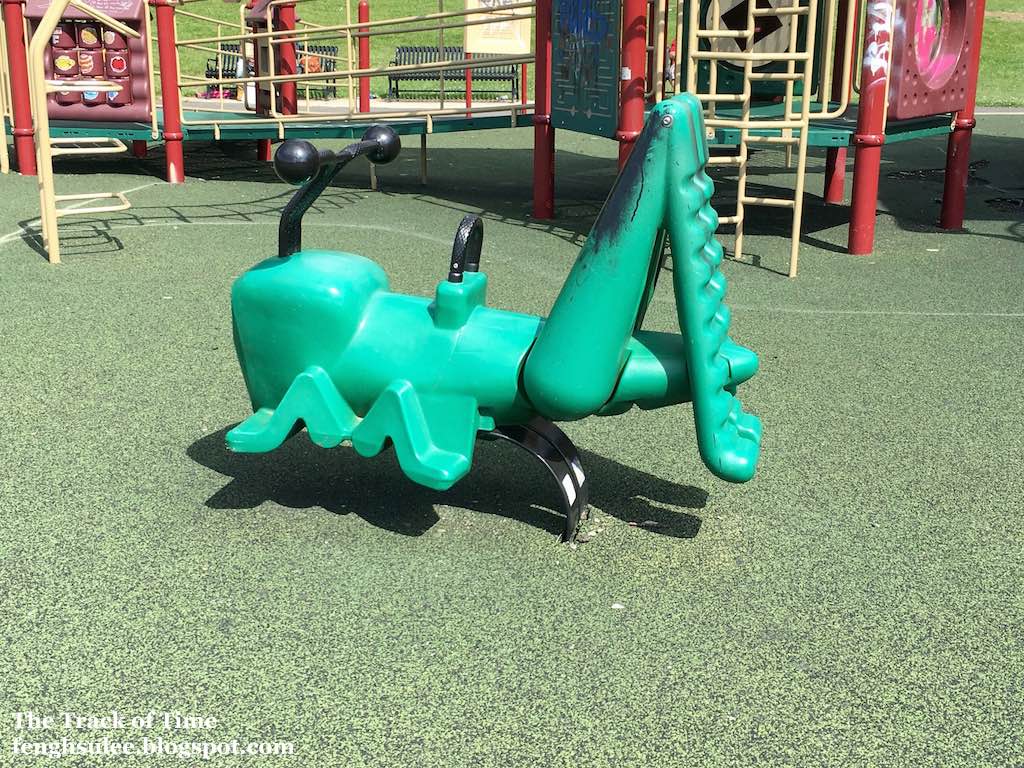 Pope Park The Track of Time