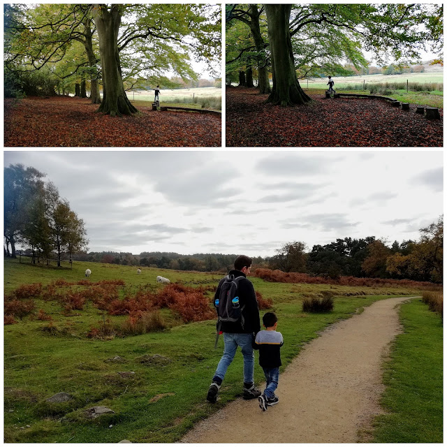 Longshaw Estate walks