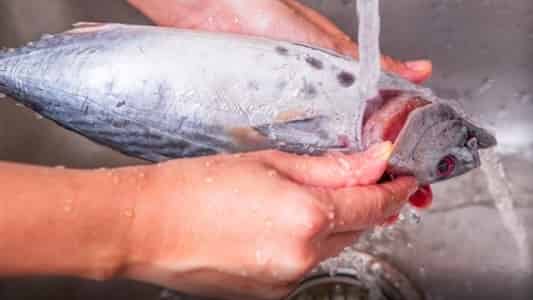 8 Petua Berkesan Hilangkan Bau Hanyir Ikan