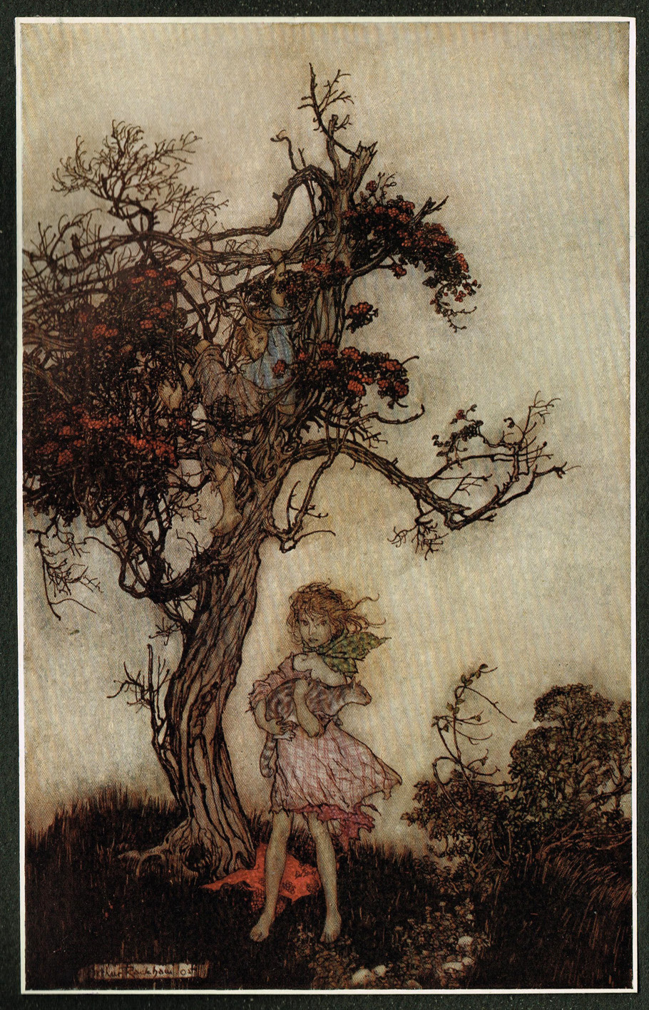 PETAR MESELDŽIJA ART: Trees