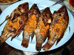 Mbah Moedjair, Penemu Ikan Mujair | Kini Kita Tau