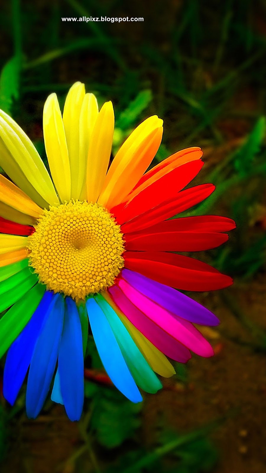 photographyblog wallpapers hd images hd wallpapers photos free