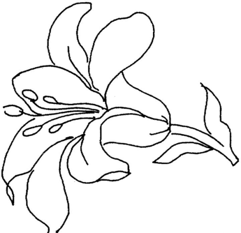 Pictures Of Flowers Hand Drawn Pictures Of Flowers Hand Drawn