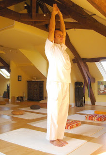 Raised Arm Pose Surya Namaskar In Hindi