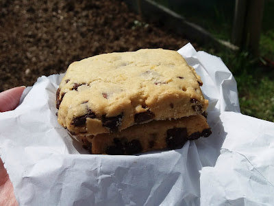 chocolate chip shortbread squares - www.growourown.blogspot.com chocolate chip shortbread squares - www.growourown.blogspot.com