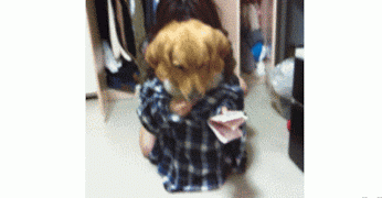 GIF+~+Just+a+Dog+counting+his+Money.gif