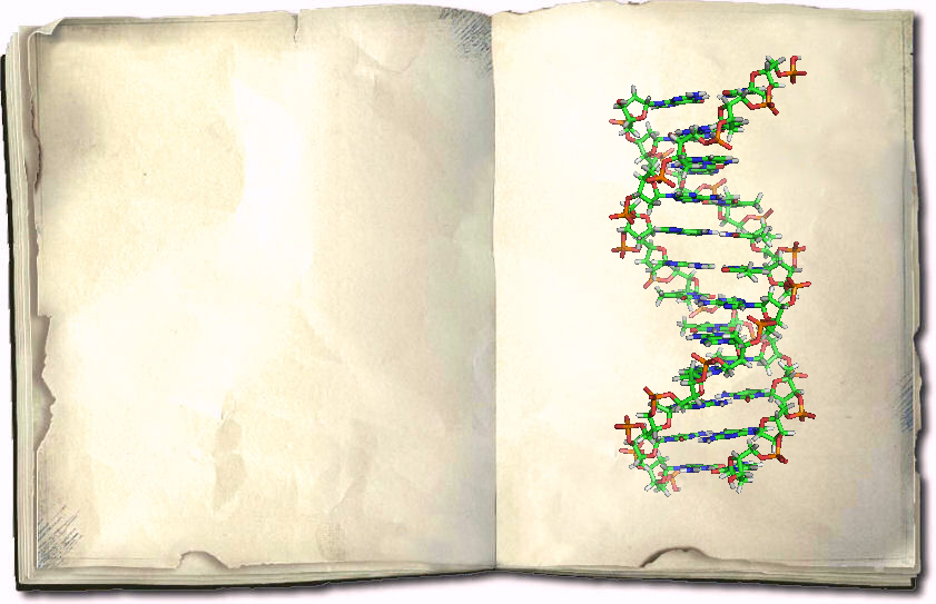 Beta Blog Writing a book with DNA