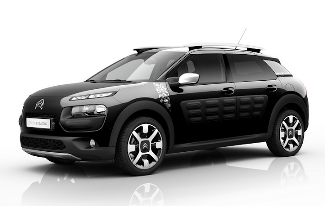 CITROEN C4 Cactus, White Rooftop Bars and Entryway Mirrors