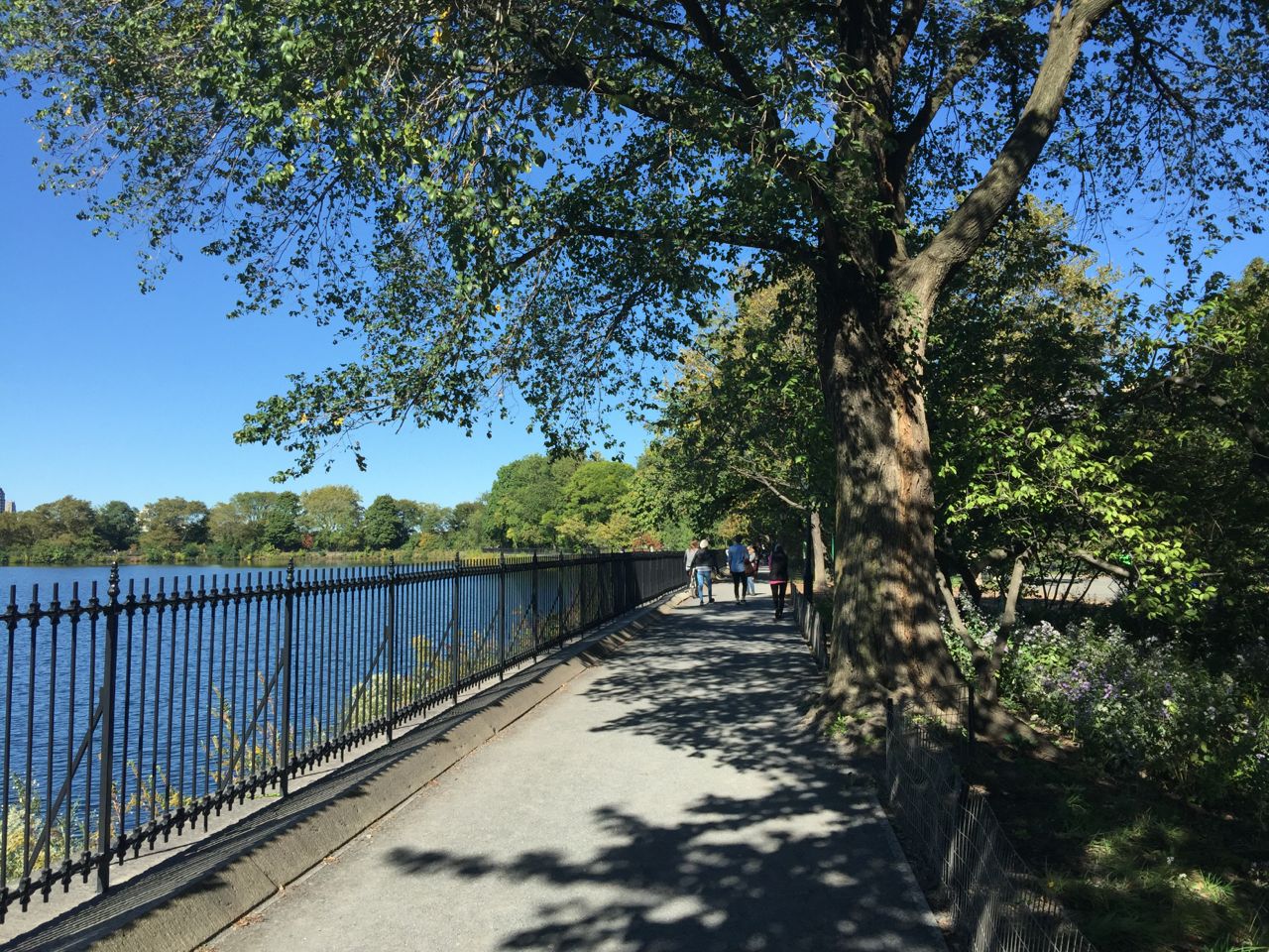 A Walk Around the Central Park Reservoir