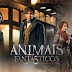 “Animais Fantásticos” ganha novo trailer na Comic-Con 2016!