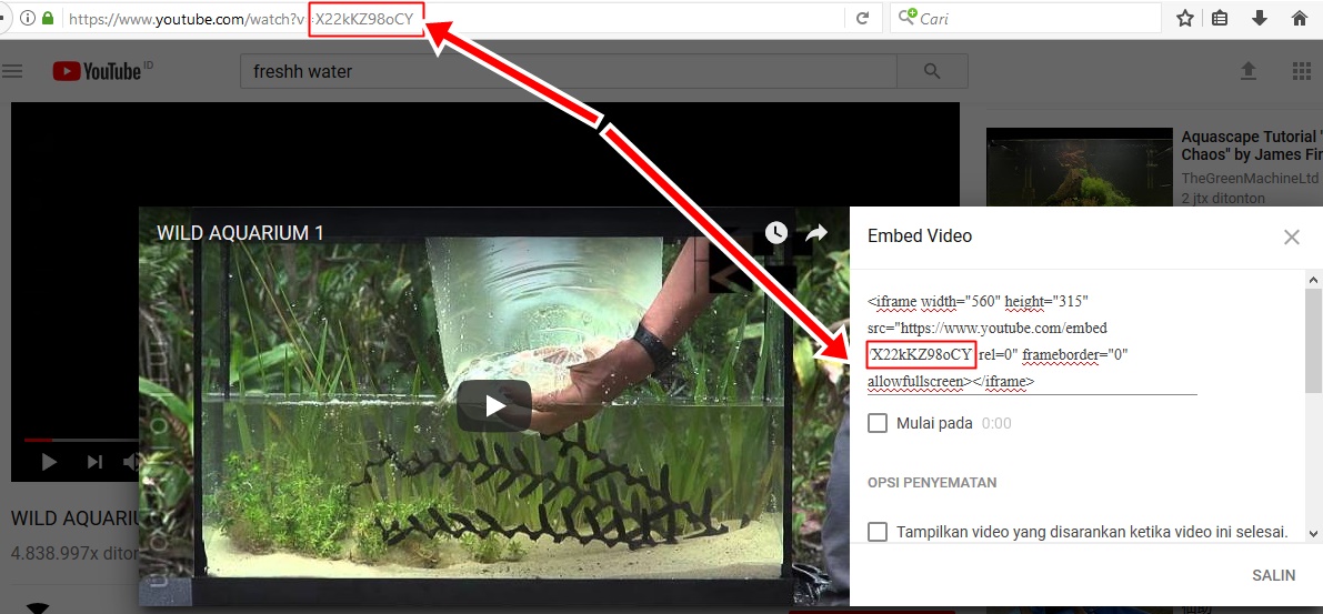 Cara Menampilkan Otomatis Thumbnail Video Youtube Di Related Posts