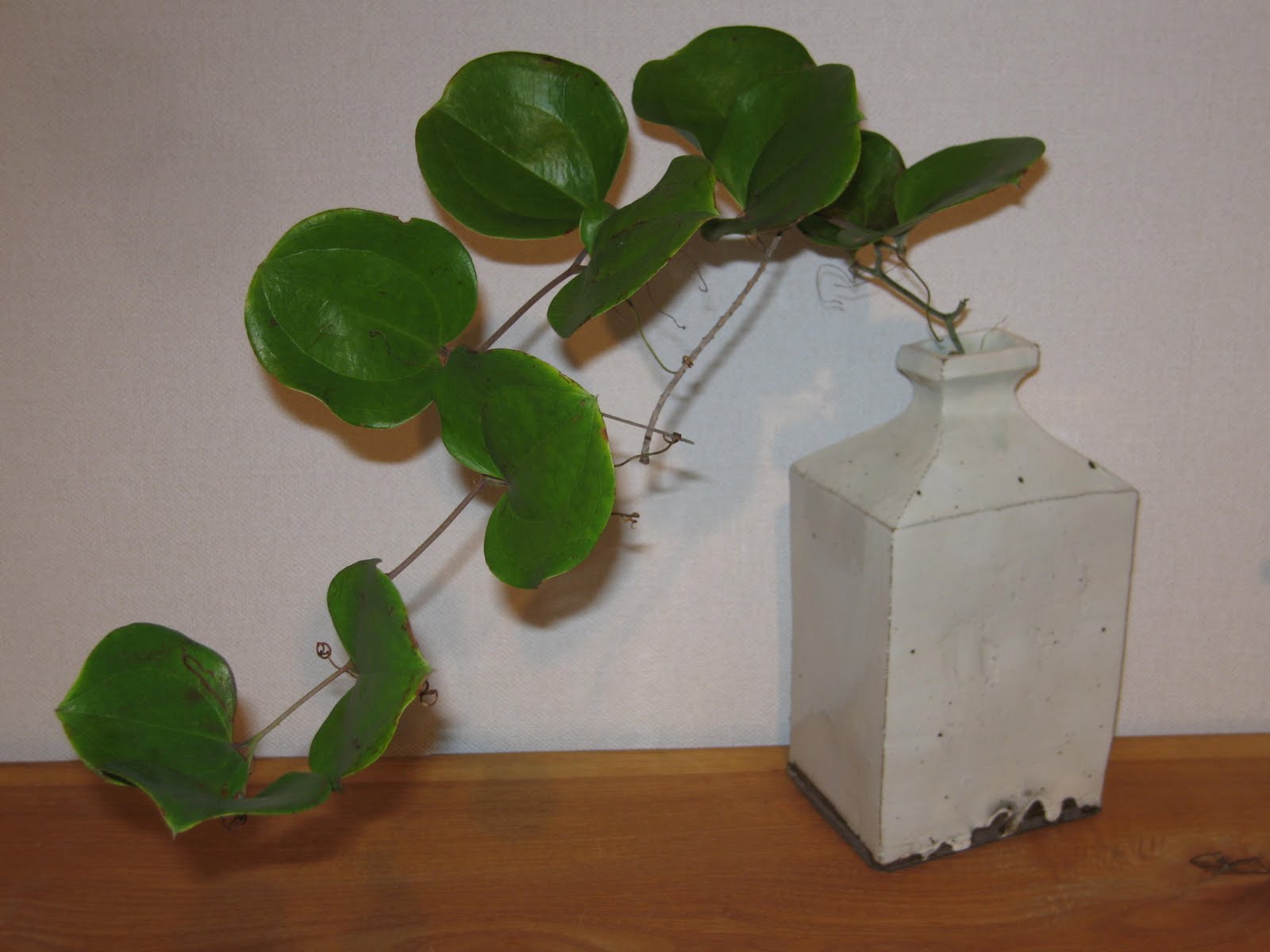 みやこ美術 立川義明・玄八作品展 始まる。