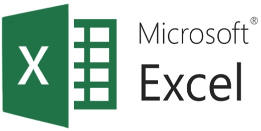 MS Excel Logo
