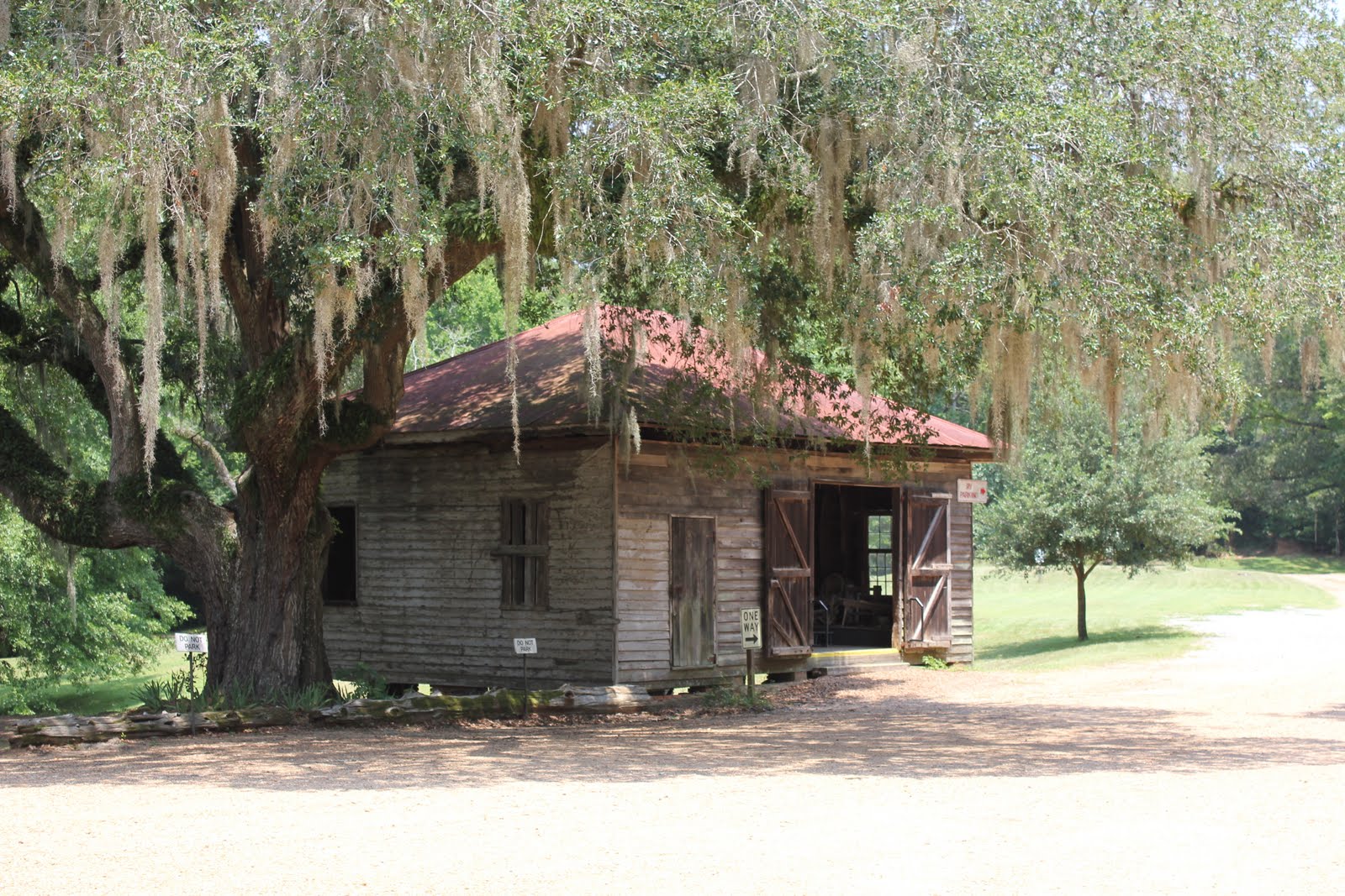 Magnolias'n Blues Longwood Plantation