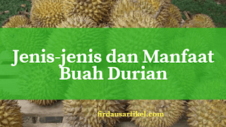 Buah durian Jenis-jenis dan manfaat buah durian