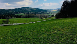 Obrázek