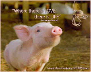 "where there is love, there is life.-Mahatma Ghandi