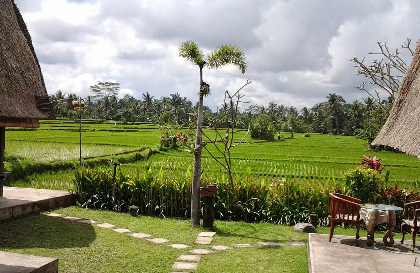 Desa Wisata Budaya Peliatan Ubud Gianyar Bali Adat Indonesia