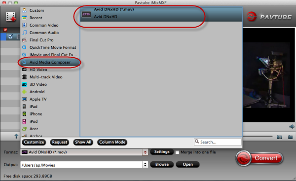 format-to-avid-mov