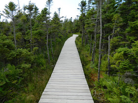 Skyline Trail boarded path Cape Breton Highlands National Park Nova Scotia by garden muses-not another Toronto gardening blog