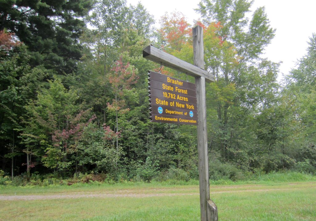 Windswept Adventure Part 1 A Rainy Day In Brasher State Forest