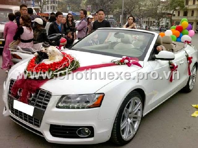 Cho thuê xe cưới mui trần màu trắng Audi A5 - xe cưới màu trắng