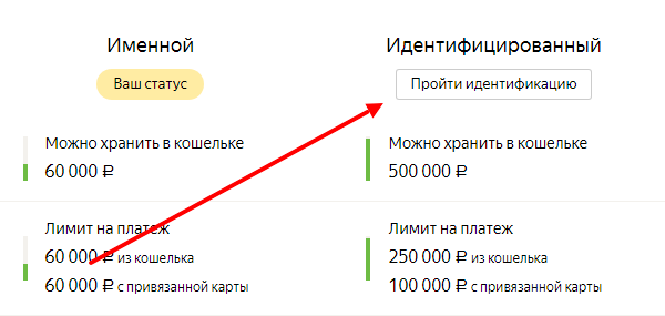Выбираем - пройти идентификацию